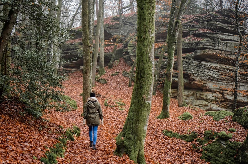 Hiking in the forest